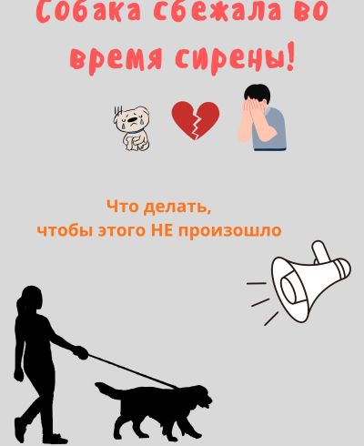 Гайд «Собака сбежала во время сирены!»