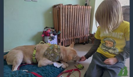 Чудеса на терапии с собакой