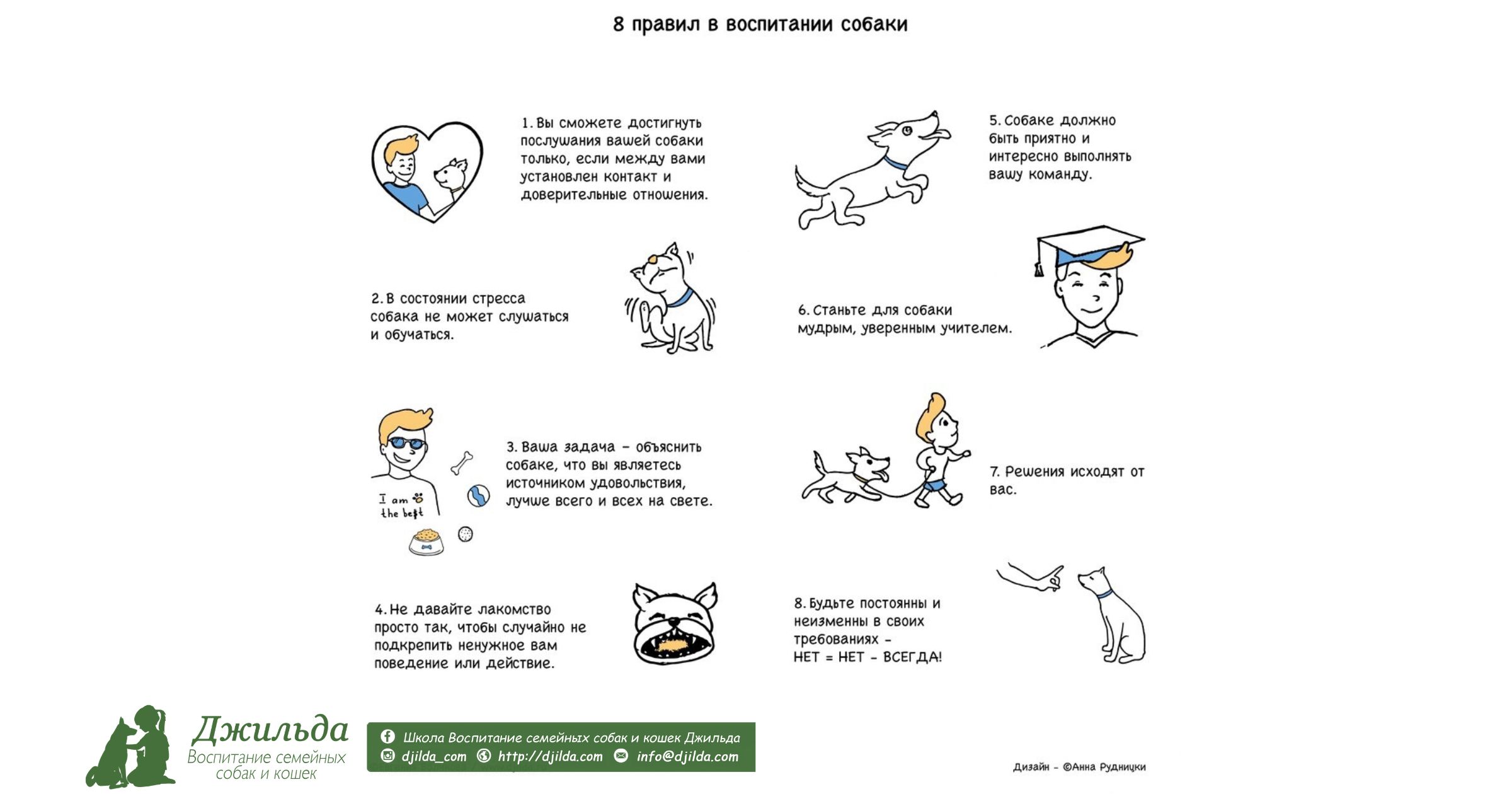 инфографика воспитание собак