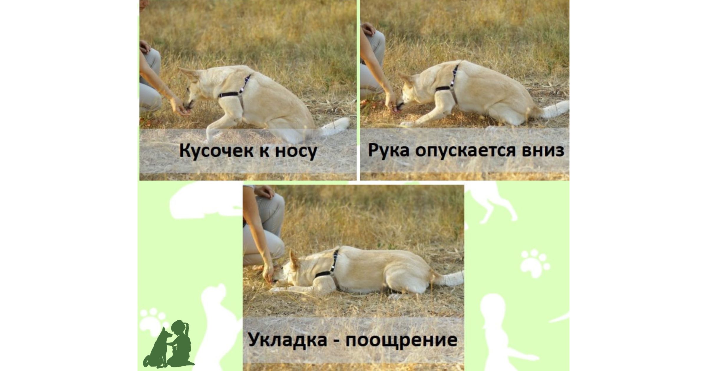 команда Лежать