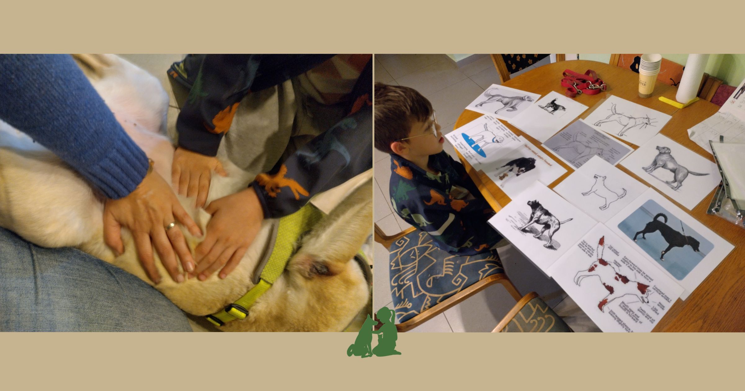 курс канистерапии