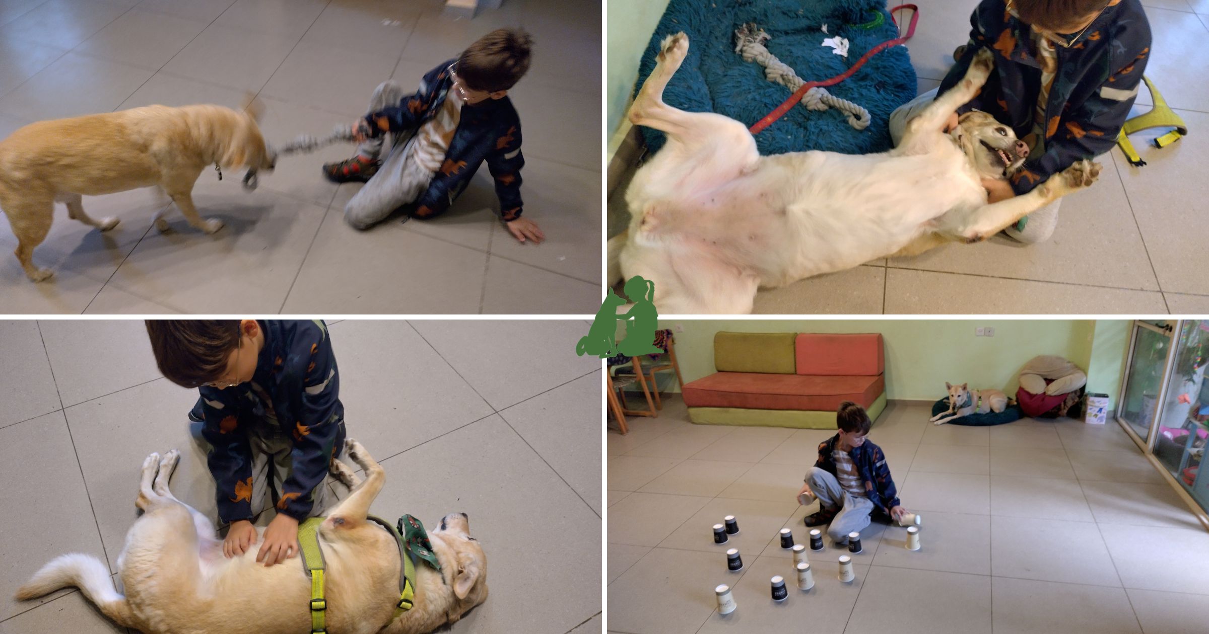 результат канистерапии