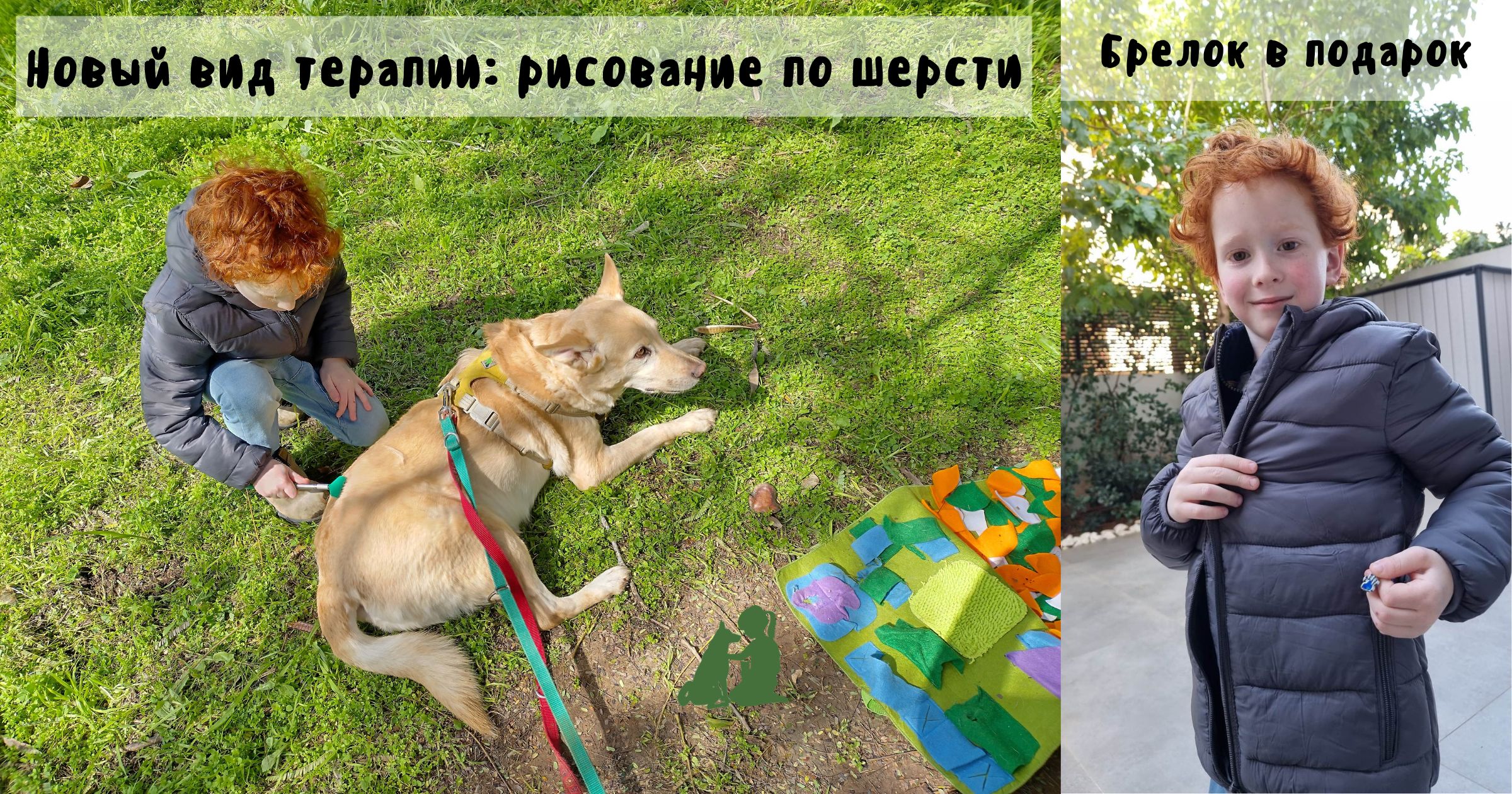 рисование по шерсти собак