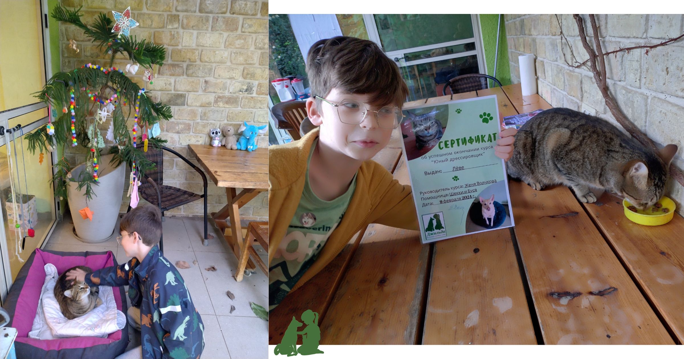 страх кошек