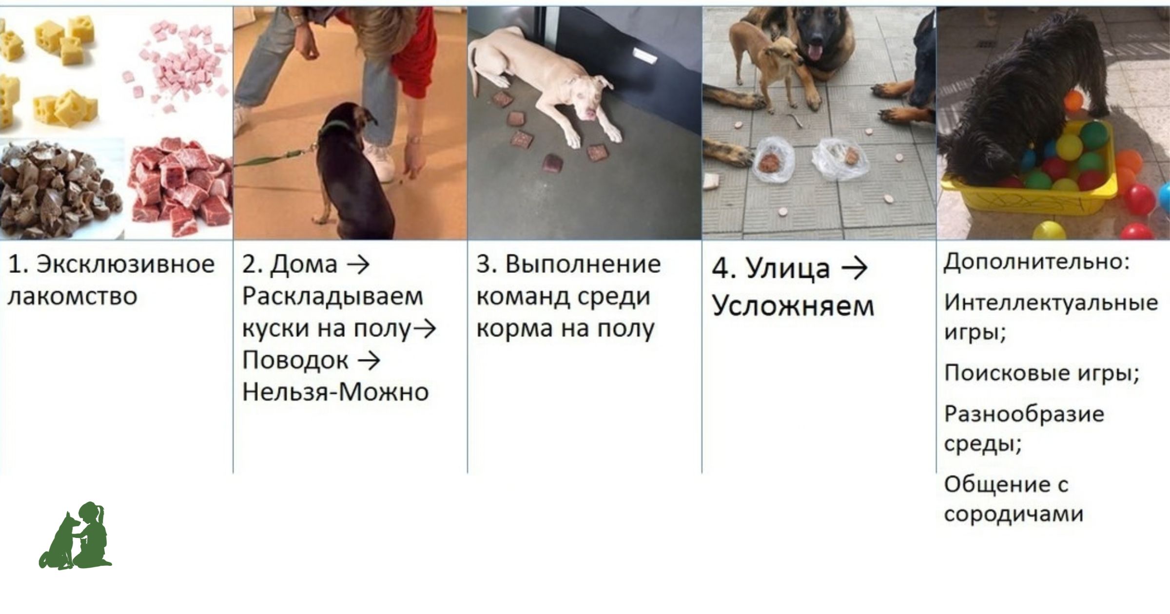 обучение неподбору как отучить подбирать: 5 шагов