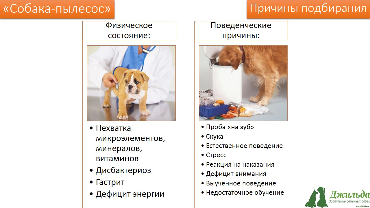 неподбор как отучить подбирать