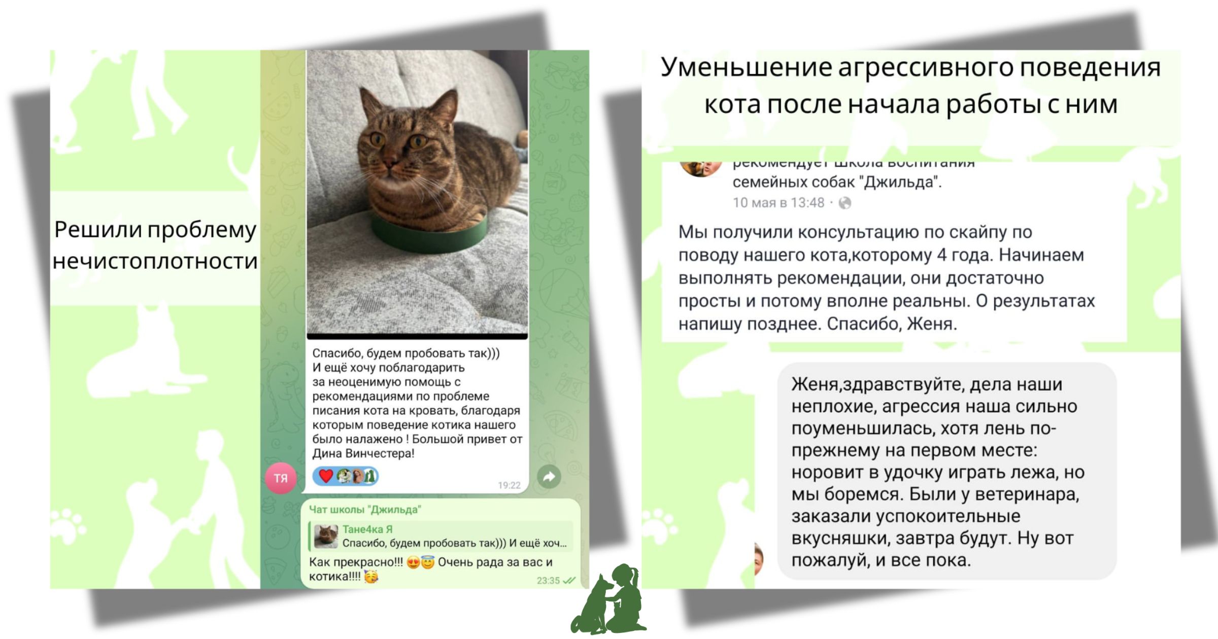 нечистоплотность кошек