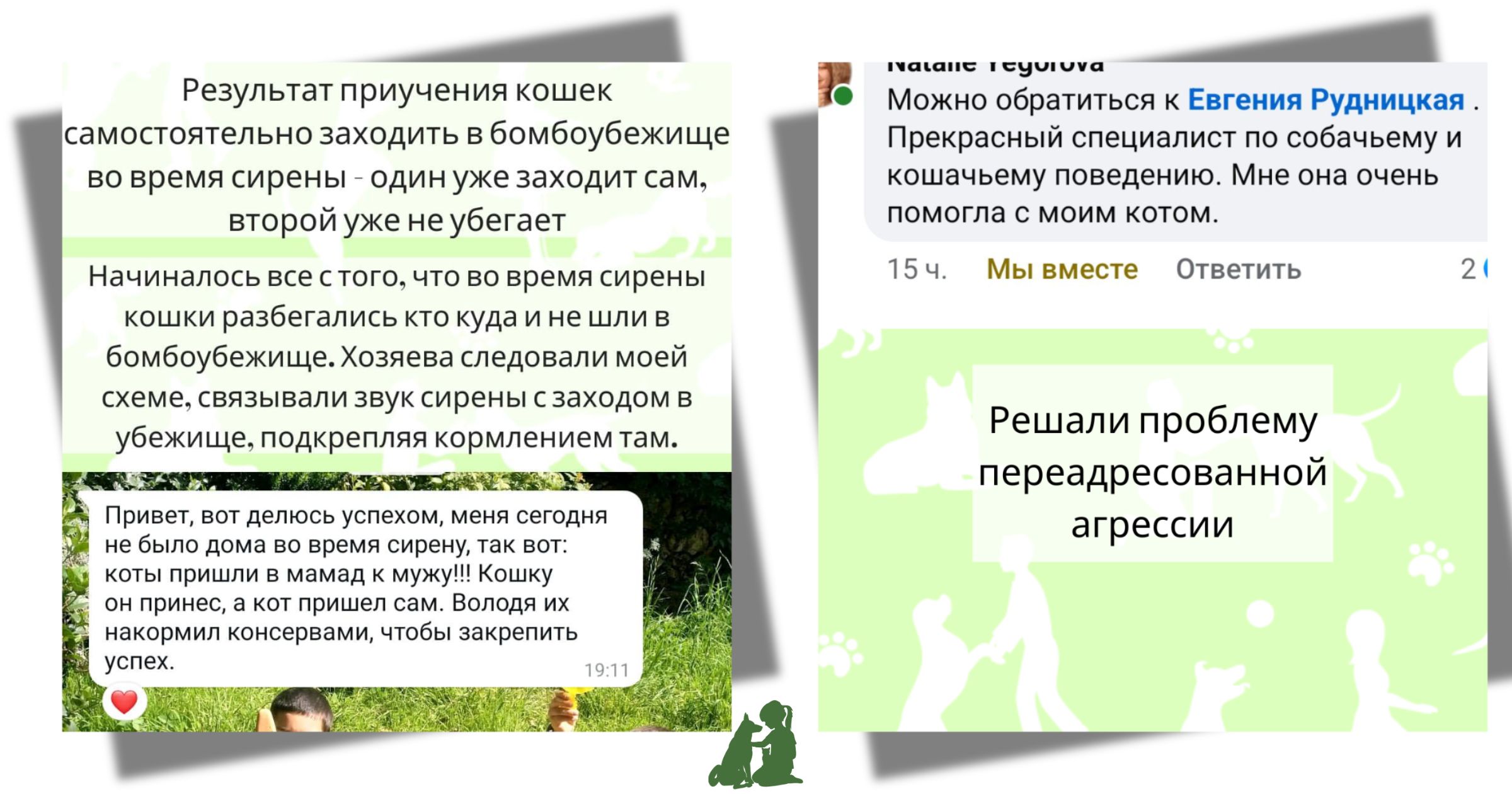 проблемы поведения кошек