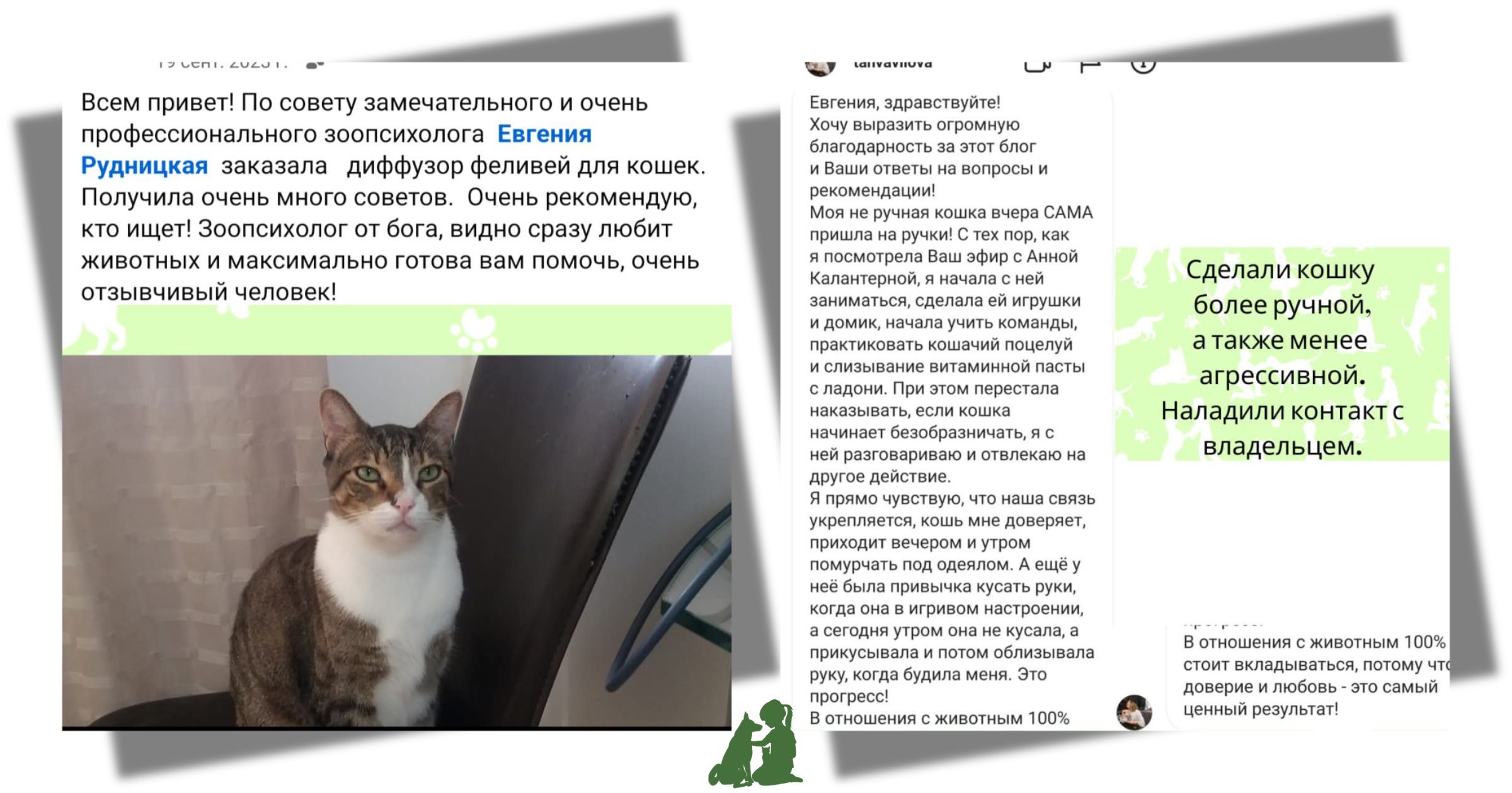 дрессировка кошки