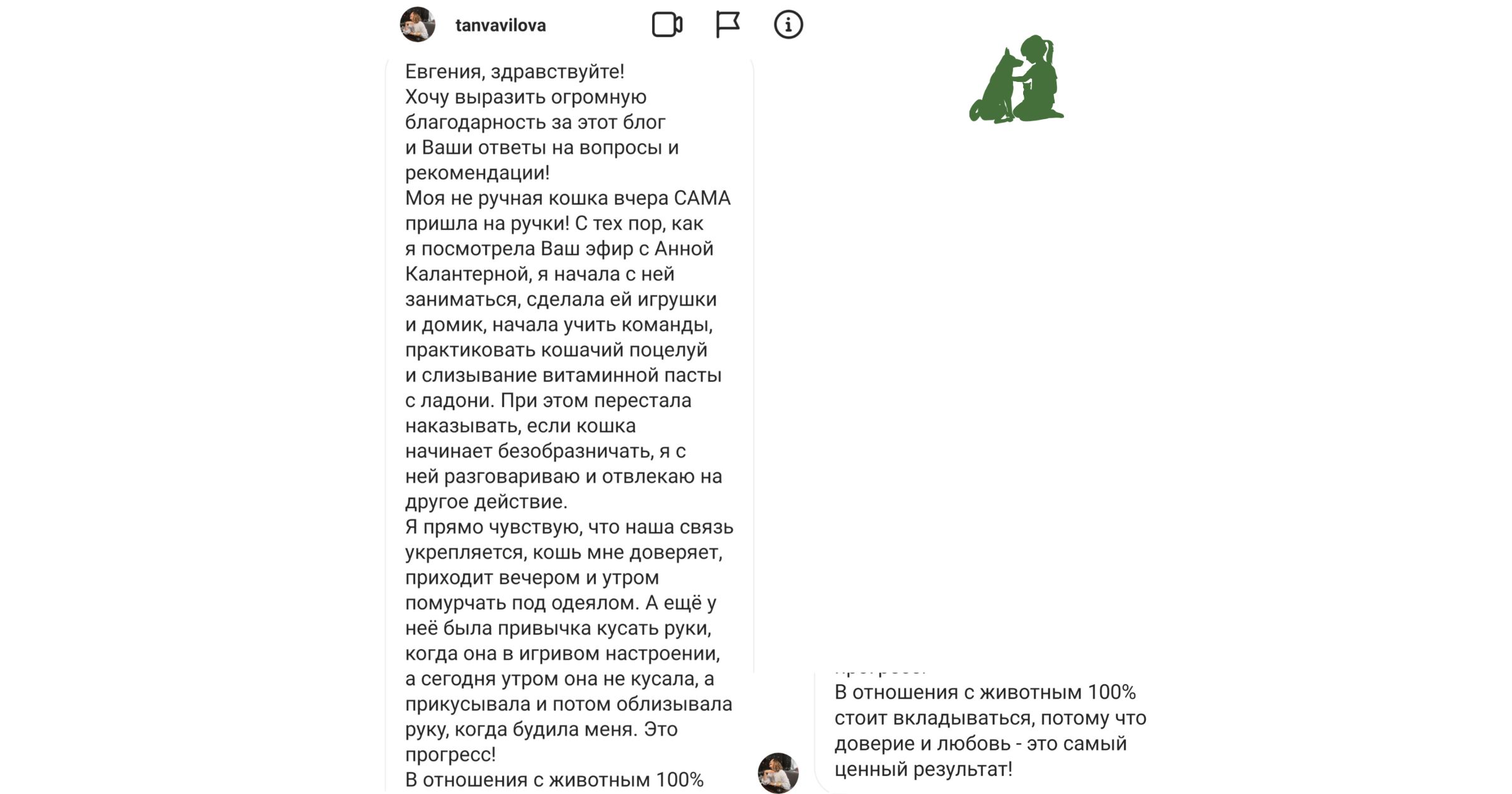 как приучить кошку гладиться