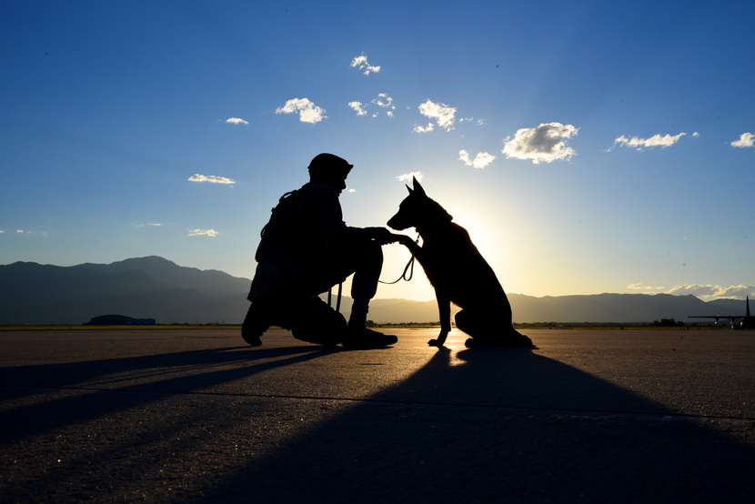 телепатическое общение