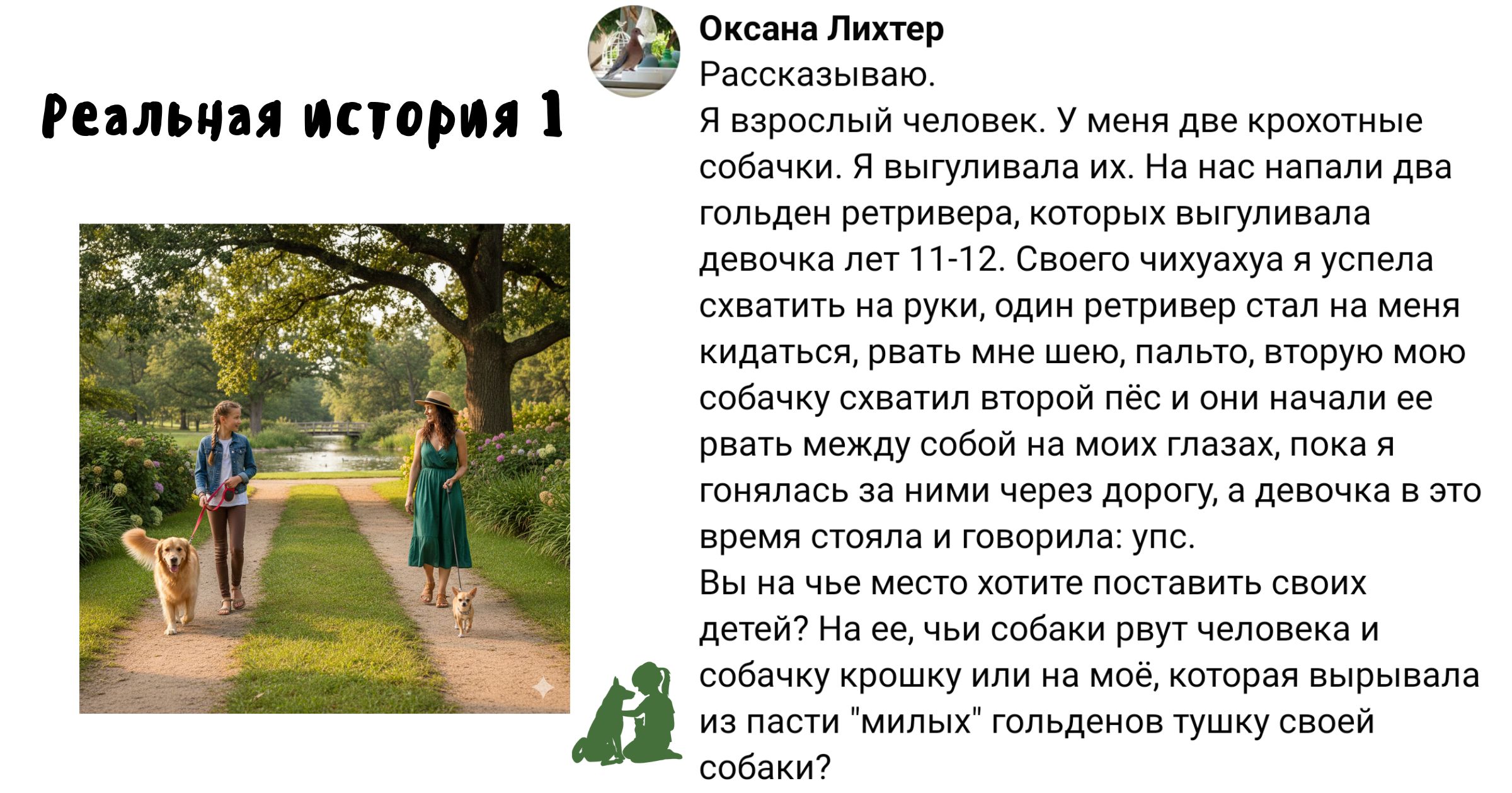 история выгула 1