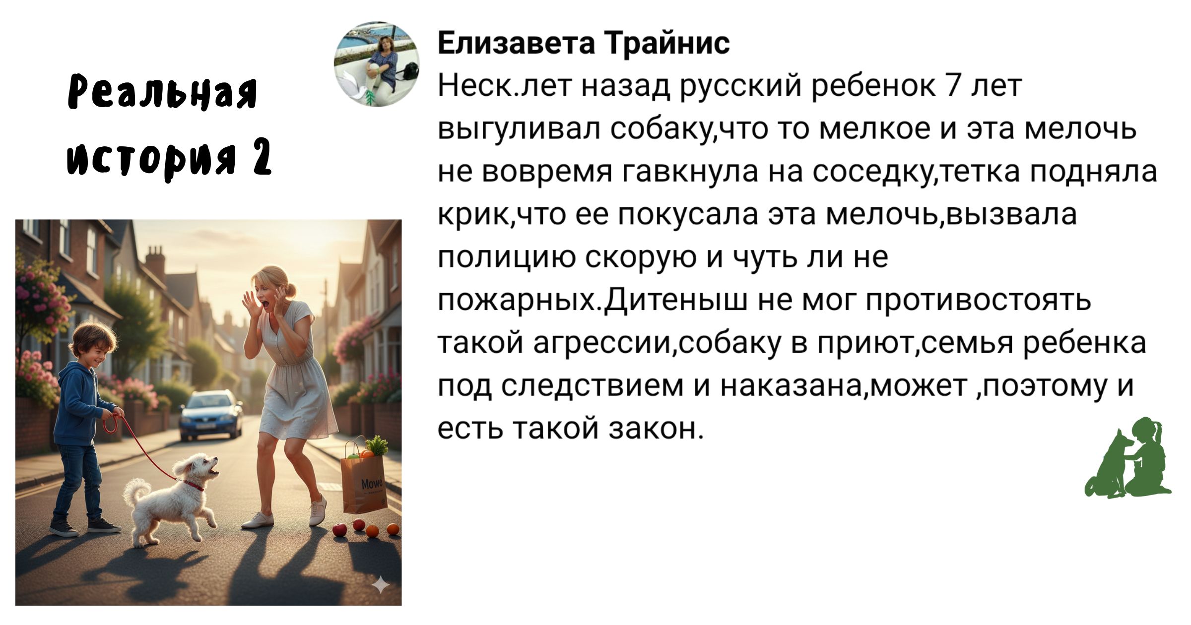 История выгула 2