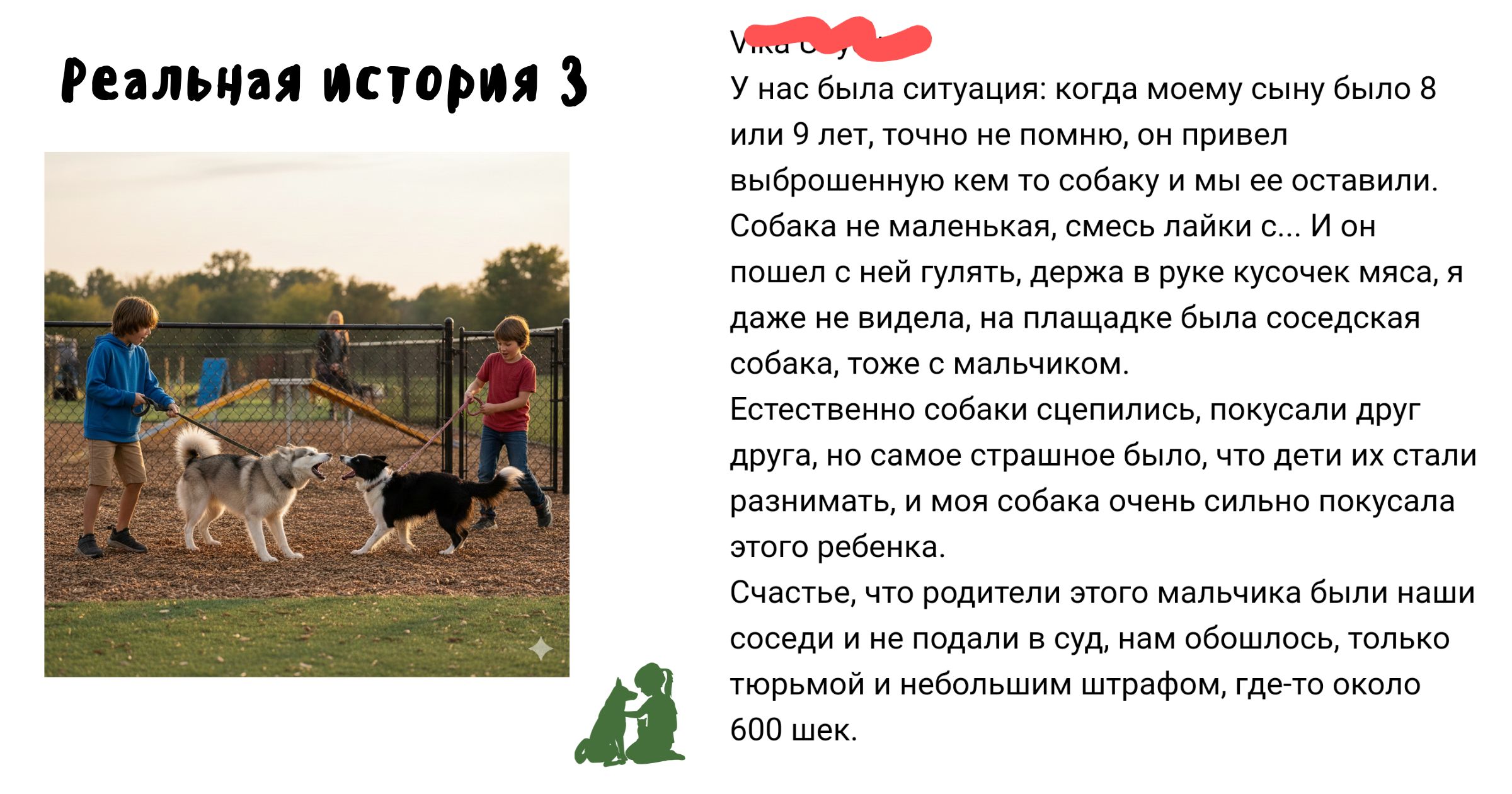 история выгула 3