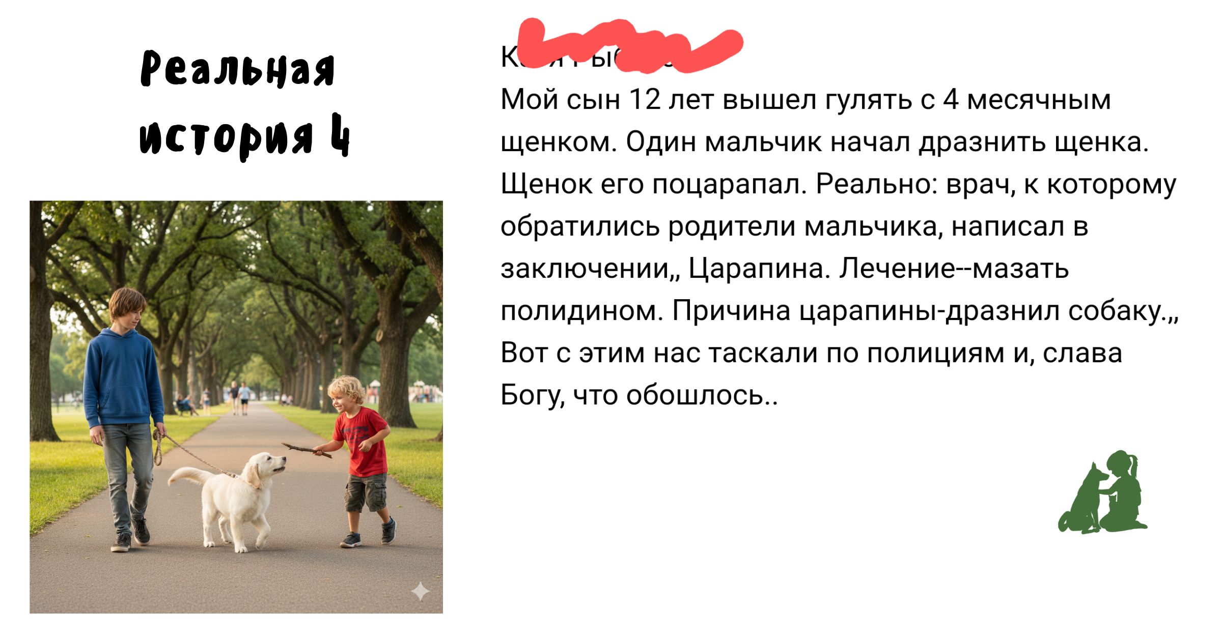 история выгула 4