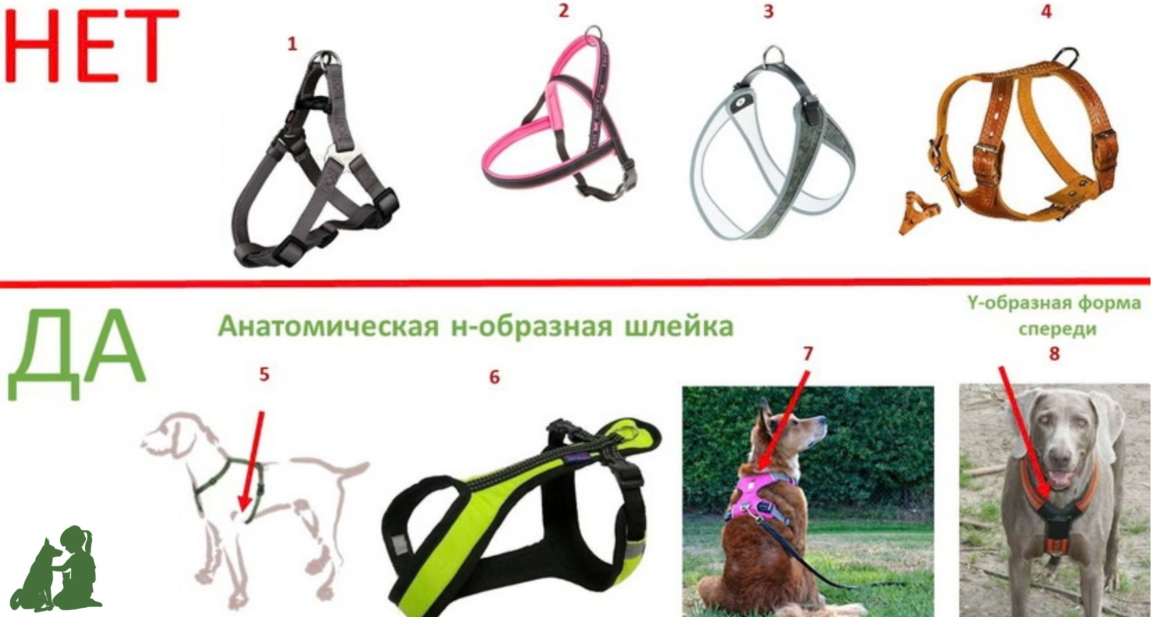 анатомическая шлейка для собак правильная шлейка для собак