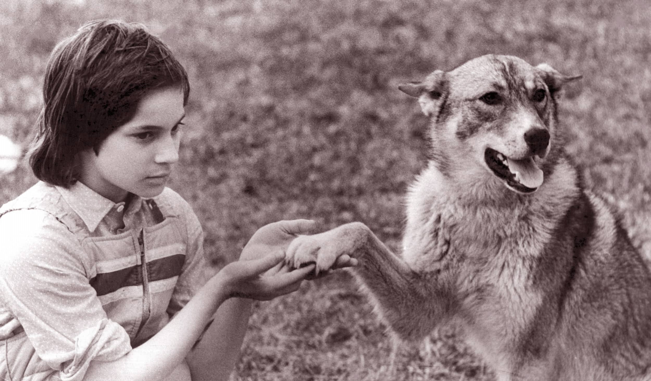 Я с соседской собакой