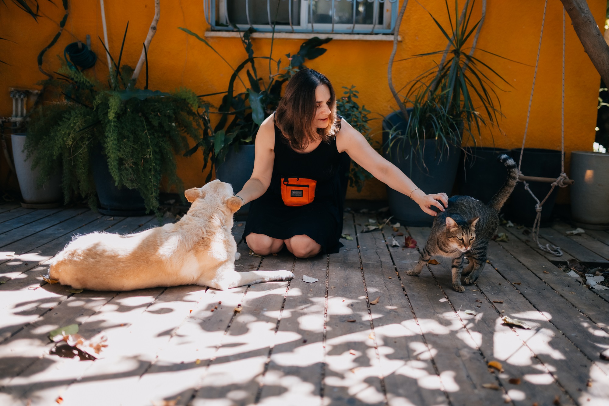 Собака с кошкой